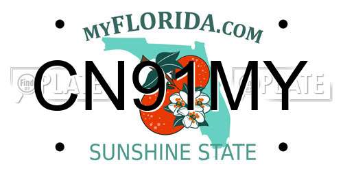 CN91MY Florida License Plate