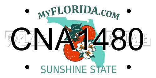 CNA1480 Florida License Plate