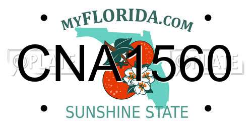 CNA1560 Florida License Plate