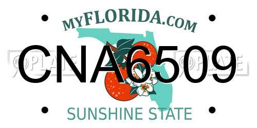 CNA6509 Florida License Plate