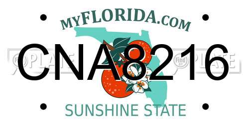 CNA8216 Florida License Plate