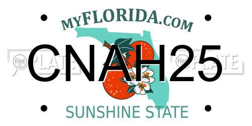 CNAH25 Florida License Plate