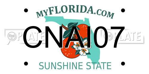 CNAI07 Florida License Plate