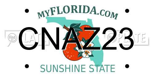 CNAZ23 Florida License Plate