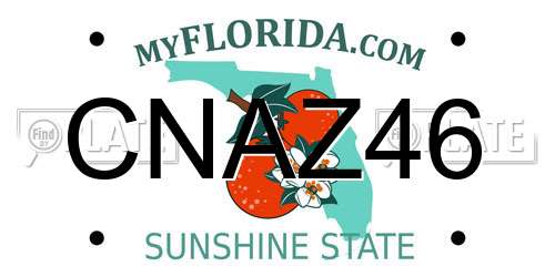 CNAZ46 Florida License Plate