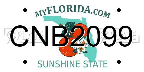 CNB2099 Florida License Plate