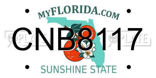 CNB8117 Florida License Plate