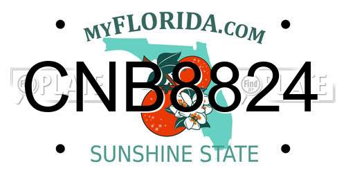 CNB8824 Florida License Plate