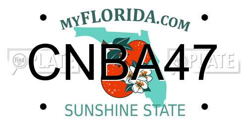 CNBA47 Florida License Plate