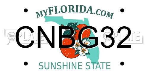 CNBG32 Florida License Plate