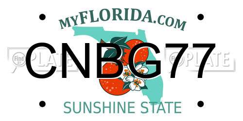 CNBG77 Florida License Plate