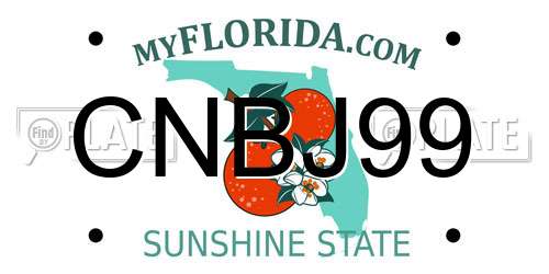 CNBJ99 Florida License Plate