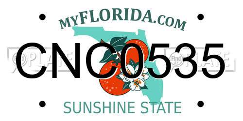CNC0535 Florida License Plate