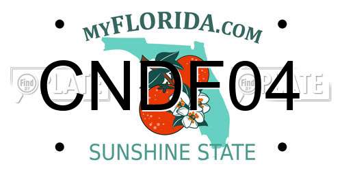 CNDF04 Florida License Plate