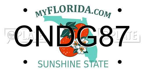 CNDG87 Florida License Plate