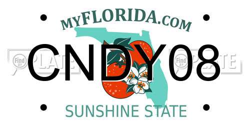 CNDY08 Florida License Plate