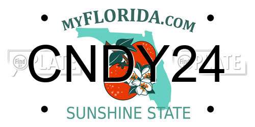 CNDY24 Florida License Plate