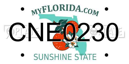 CNE0230 Florida License Plate