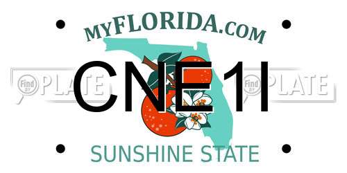CNE1I Florida License Plate