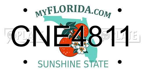 CNE4811 Florida License Plate
