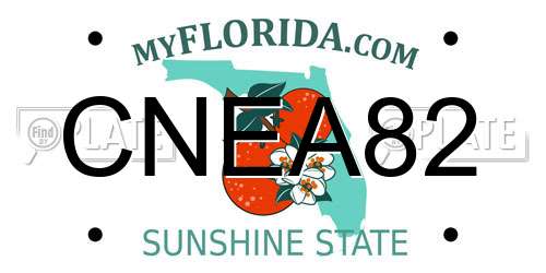 CNEA82 Florida License Plate