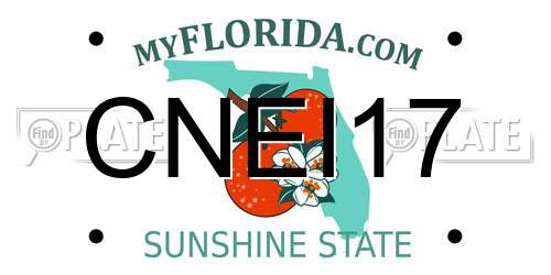 CNEI17 Florida License Plate