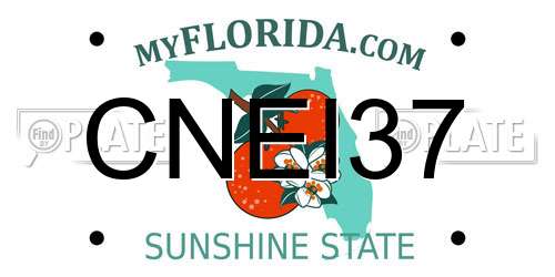 CNEI37 Florida License Plate