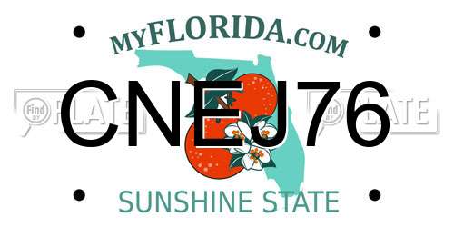 CNEJ76 Florida License Plate