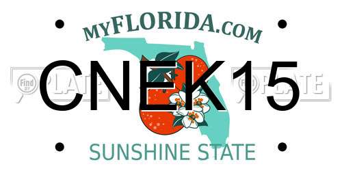 CNEK15 Florida License Plate