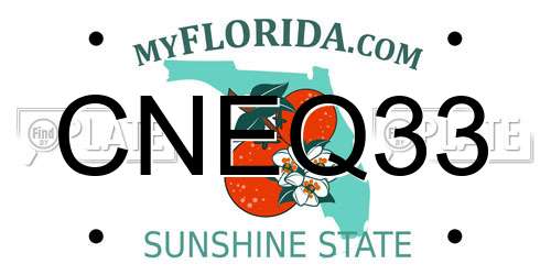 CNEQ33 Florida License Plate