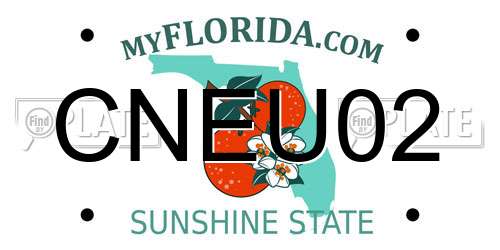CNEU02 Florida License Plate