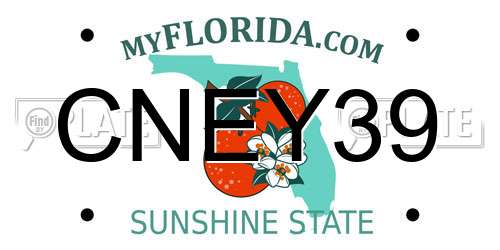 CNEY39 Florida License Plate