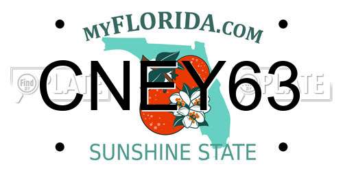 CNEY63 Florida License Plate