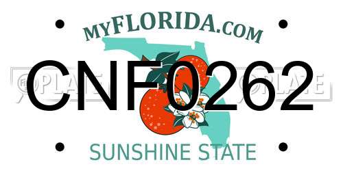 CNF0262 Florida License Plate