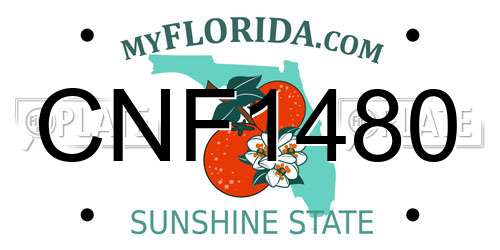 CNF1480 Florida License Plate