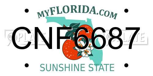 CNF6687 Florida License Plate