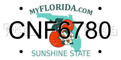 CNF6780 Florida License Plate