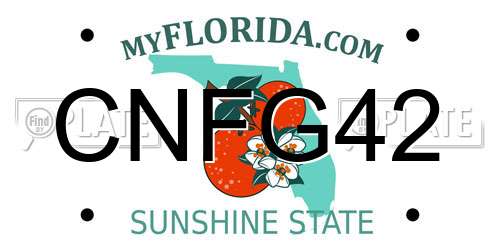 CNFG42 Florida License Plate