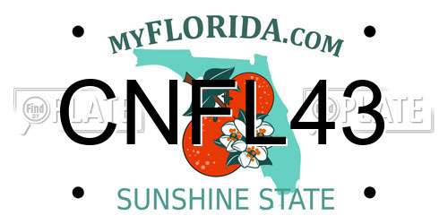 CNFL43 Florida License Plate