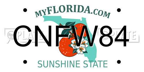 CNFW84 Florida License Plate