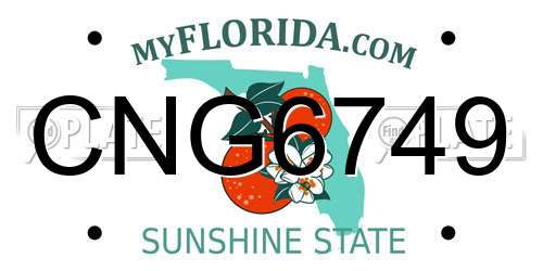 CNG6749 Florida License Plate