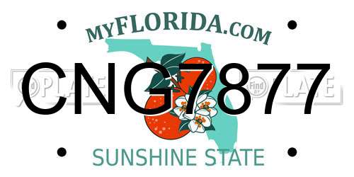CNG7877 Florida License Plate