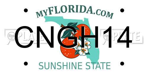 CNGH14 Florida License Plate