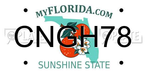 CNGH78 Florida License Plate