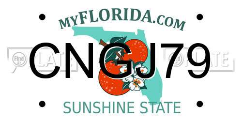CNGJ79 Florida License Plate