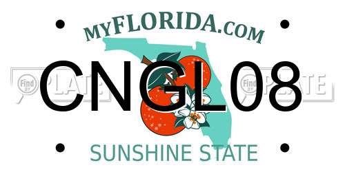 CNGL08 Florida License Plate