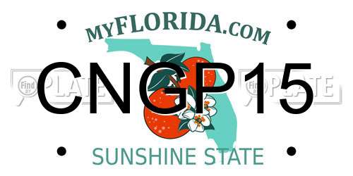 CNGP15 Florida License Plate
