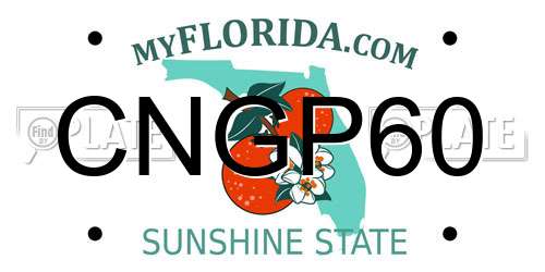 CNGP60 Florida License Plate