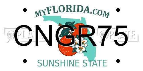 CNGR75 Florida License Plate