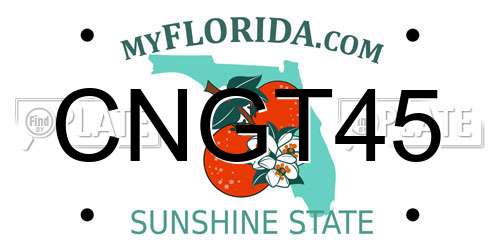 CNGT45 Florida License Plate